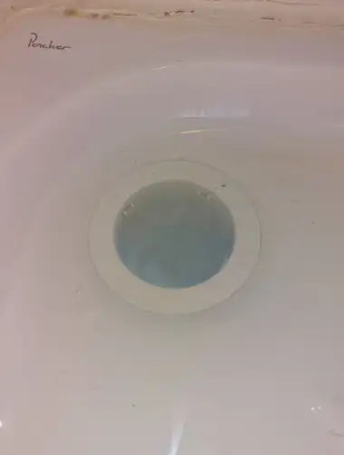 Siphon propre d'une baignoire blanche