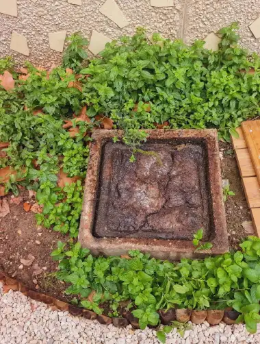 Regard bouché dans un jardin