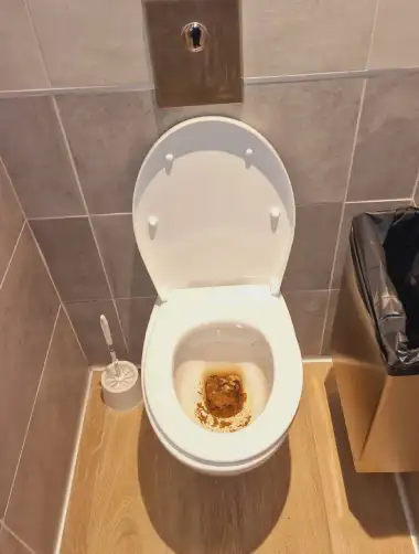 Toilettes blanches et plancher en bois propres avec évacuation bouchée