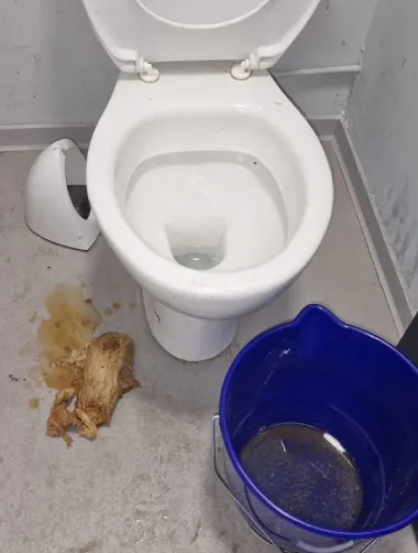 debouchage-wc-les-deboucheurs-reunis-apres