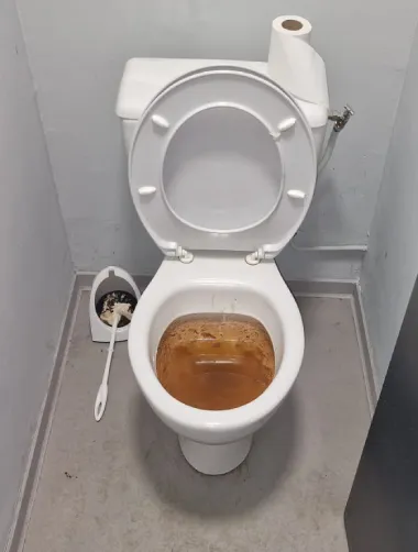 debouchage-wc-les-deboucheurs-reunis-avant
