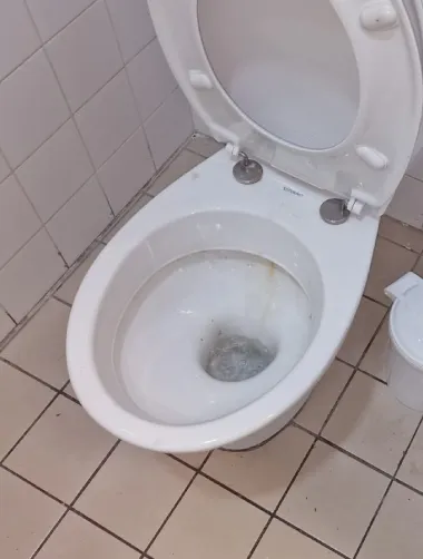 toilette-debouche-saint-martin-les-deboucheurs-reunis