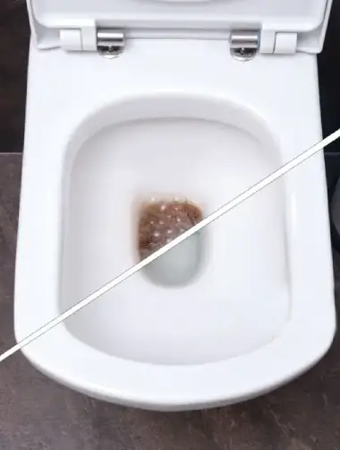 toilette bouche senas