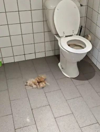 toilette bouchee cavaillon les deboucheurs reunis