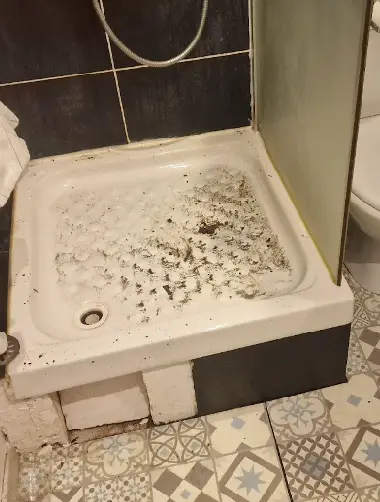 douche-bouchee-saint-chamas-les-deboucheurs-reunis