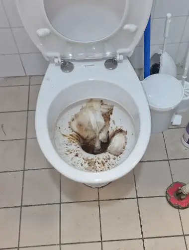 toilette-bouche-apres-les-deboucheurs-reunis-valaux.webp