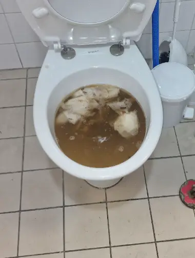 toilette-bouche-avant-les-deboucheurs-reunis-valaux