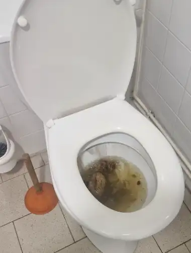 Débouchage WC (canalisation) à Saint-Cannat 1 toilette bouche saint cannat les deboucheurs reunis