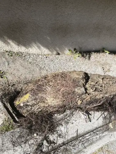 Débouchage canalisation regard à Marguerittes 1 marguerites plombier debouchage canalisation