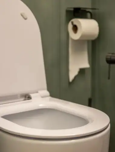 Débouchage de toilettes à Nîmes 1 toilette bouche nimes plombier les deboucheurs reunis