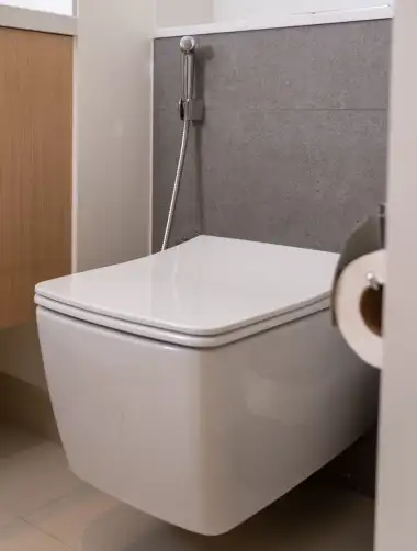 Blog 2 Toilette Bouche vallabregues les deboucheurs reunis